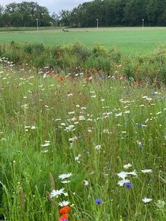 Natuur