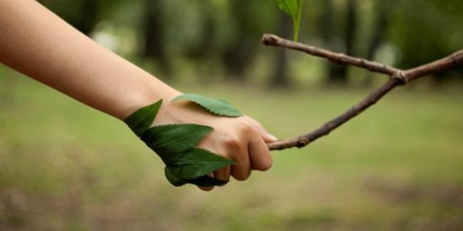 afbeelding hand met blad